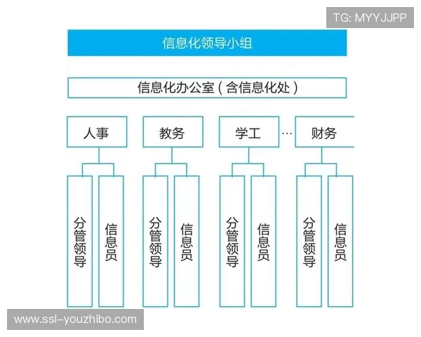 数字化阶段人才结构优化 培育专业化运营团队